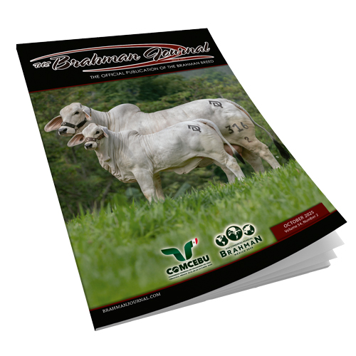 2025 October - Brahman Journal