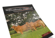 2024 August – Brahman Journal