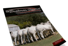 2024 November – Brahman Journal