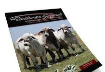 2025 September – Brahman Journal