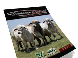 2025 September – Brahman Journal