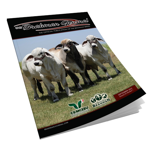 2025 September - Brahman Journal