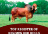 ABBA Top Register of Renown Red Bulls