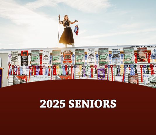2025 Seniors: What’s a favorite memory from your show career?