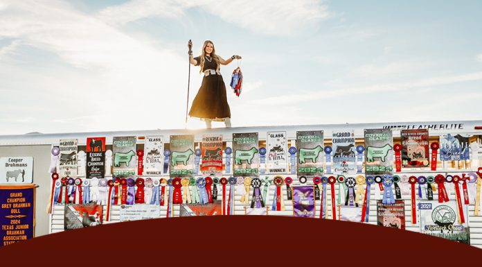 2025 Seniors: What’s a favorite memory from your show career?