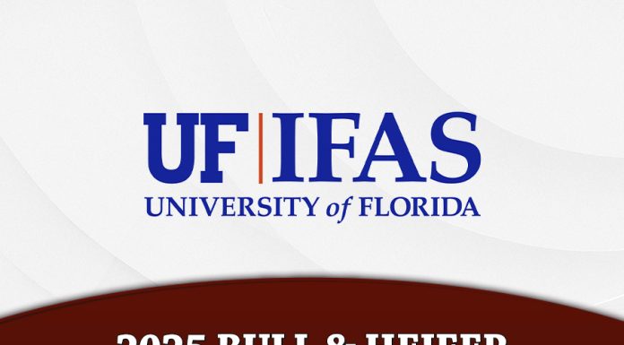 2025 University of Florida Bull & Heifer Sale Results
