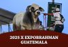 2025 X Expobrahman Guatemala