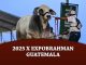 2025 X Expobrahman Guatemala
