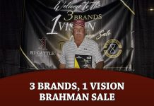 3 Brands, 1 Vision Brahman Sale