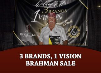 3 Brands, 1 Vision Brahman Sale