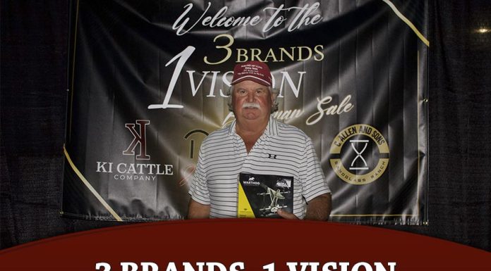 3 Brands, 1 Vision Brahman Sale