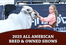 2025 All American Bred & Owned Shows