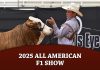 2025 All American F1 Show