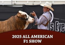 2025 All American F1 Show