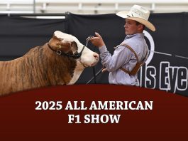 2025 All American F1 Show