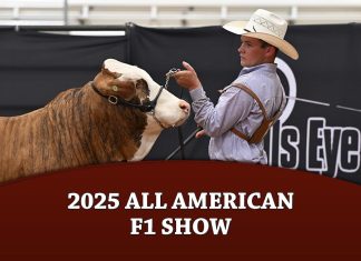 2025 All American F1 Show