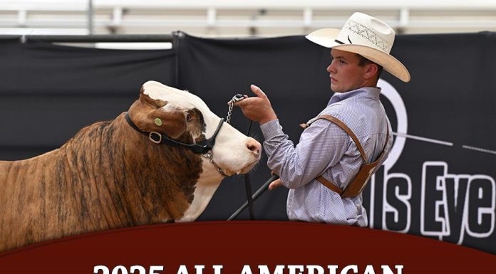 2025 All American F1 Show