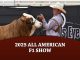 2025 All American F1 Show
