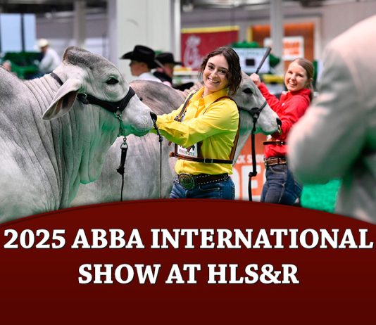 2025 ABBA International Champions at HLS&R