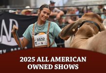 2025 ALL AMERICAN OWNED SHOWS