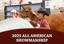 2025 All American Showmanship