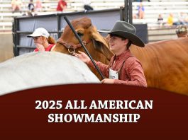 2025 All American Showmanship