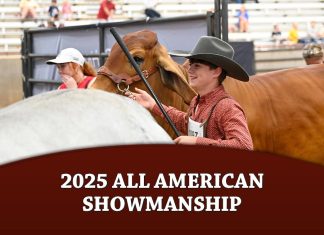 2025 All American Showmanship