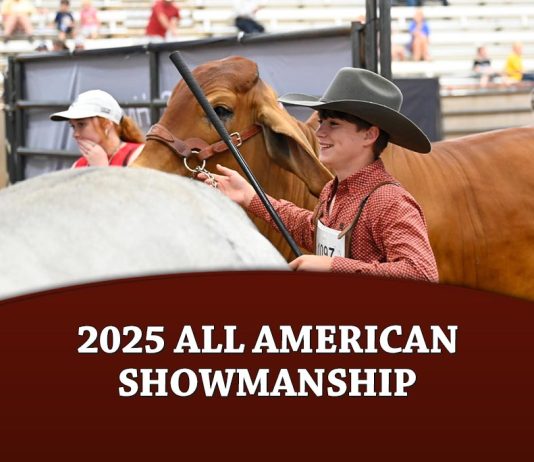 2025 All American Showmanship