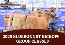 2025 Bluebonnet Kick Off Classic Open Show – Group Classes