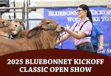 2025 Bluebonnet Kick Off Classic Open Show