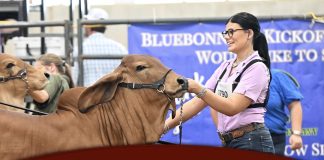 2025 Bluebonnet Kick Off Classic Open Show