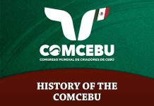 History of the COMCEBU
