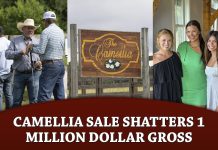 Camellia Sale Shatters 1 Million Dollar Gross