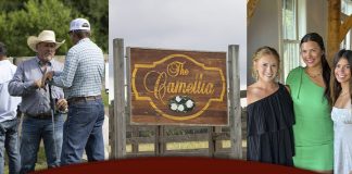 Camellia Sale Shatters 1 Million Dollar Gross