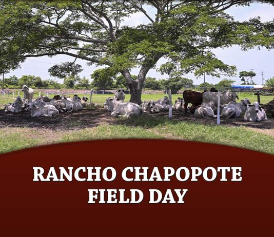 Rancho Chapopote Field Day