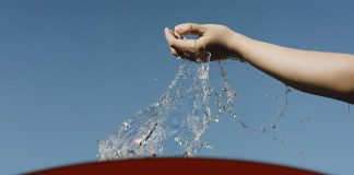 Importance of Clean Water in Cattle Production