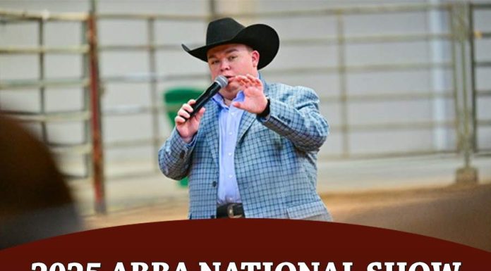 ABBA National Show Judge: Dakota Smith