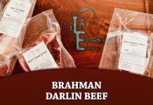Brahman Darlin Beef