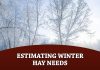 Estimating Winter Hay Needs