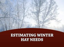 Estimating Winter Hay Needs
