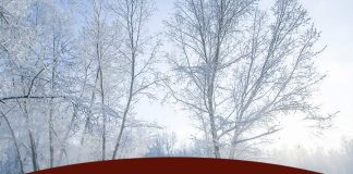 Estimating Winter Hay Needs