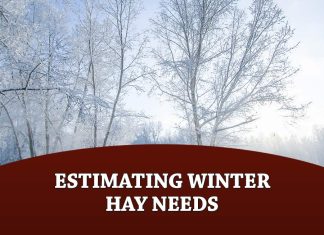 Estimating Winter Hay Needs