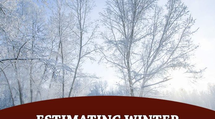 Estimating Winter Hay Needs