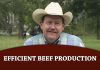 The Role of Brahman Cattle in Efficient Beef Production