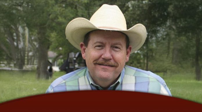 The Role of Brahman Cattle in Efficient Beef Production