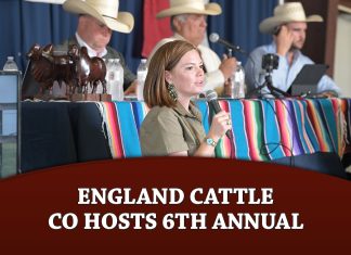 England Cattle Co hosts 6thAnnual Brahmans on the Rio Sale