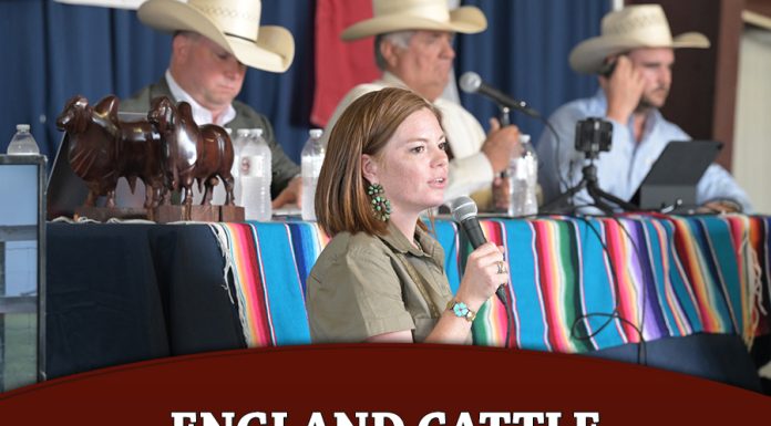 England Cattle Co hosts 6thAnnual Brahmans on the Rio Sale