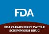 FDA Conditionally Approves First Drug for Prevention and Treatment of New World Screwworm Infestations in Cattle
