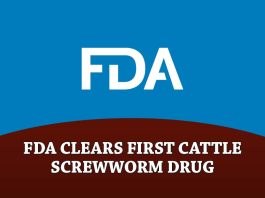 FDA Conditionally Approves First Drug for Prevention and Treatment of New World Screwworm Infestations in Cattle