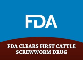 FDA Conditionally Approves First Drug for Prevention and Treatment of New World Screwworm Infestations in Cattle